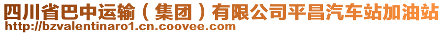 四川省巴中運(yùn)輸（集團(tuán)）有限公司平昌汽車站加油站