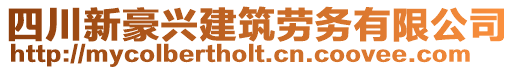 四川新豪興建筑勞務(wù)有限公司