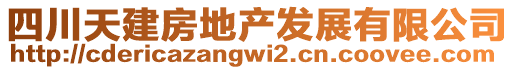 四川天建房地產(chǎn)發(fā)展有限公司