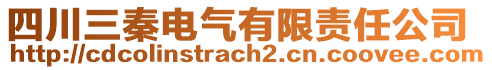 四川三秦電氣有限責(zé)任公司