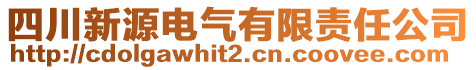 四川新源電氣有限責(zé)任公司