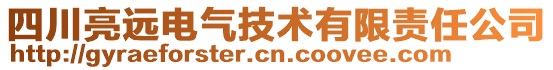 四川亮遠(yuǎn)電氣技術(shù)有限責(zé)任公司