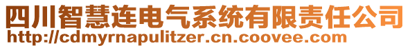 四川智慧連電氣系統(tǒng)有限責(zé)任公司