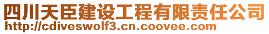 四川天臣建設(shè)工程有限責(zé)任公司