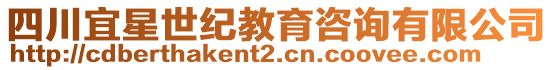 四川宜星世紀教育咨詢有限公司