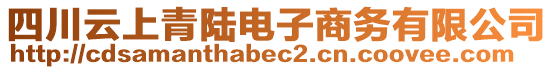 四川云上青陸電子商務(wù)有限公司