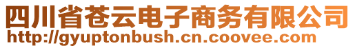 四川省苍云电子商务有限公司