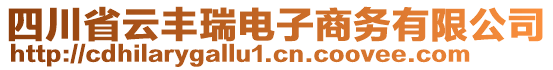 四川省云豐瑞電子商務(wù)有限公司