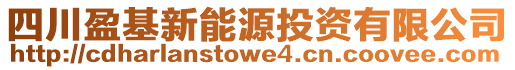 四川盈基新能源投資有限公司