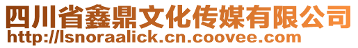 四川省鑫鼎文化傳媒有限公司