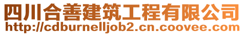 四川合善建筑工程有限公司