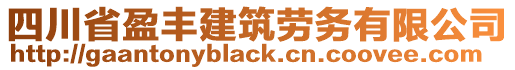 四川省盈豐建筑勞務(wù)有限公司