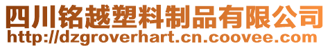 四川銘越塑料制品有限公司