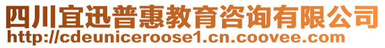 四川宜迅普惠教育咨詢(xún)有限公司