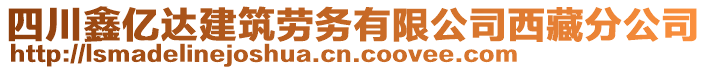 四川鑫億達建筑勞務有限公司西藏分公司