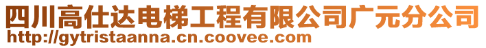 四川高仕達電梯工程有限公司廣元分公司