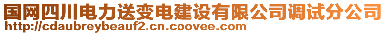 國(guó)網(wǎng)四川電力送變電建設(shè)有限公司調(diào)試分公司