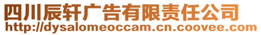 四川辰軒廣告有限責任公司