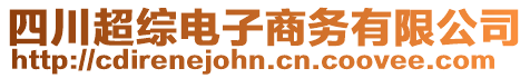 四川超綜電子商務(wù)有限公司