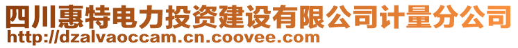 四川惠特電力投資建設(shè)有限公司計量分公司