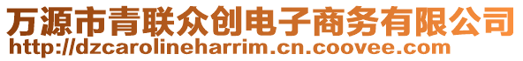 萬源市青聯(lián)眾創(chuàng)電子商務(wù)有限公司