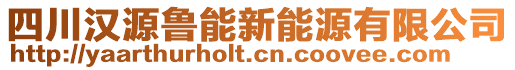 四川漢源魯能新能源有限公司