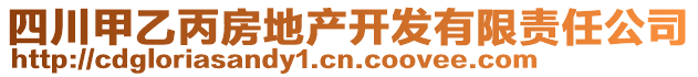 四川甲乙丙房地產開發(fā)有限責任公司