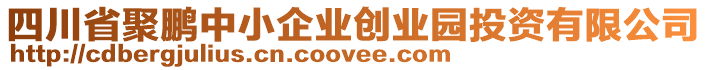 四川省聚鵬中小企業(yè)創(chuàng)業(yè)園投資有限公司