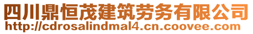 四川鼎恒茂建筑勞務(wù)有限公司