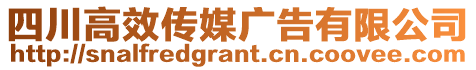 四川高效傳媒廣告有限公司