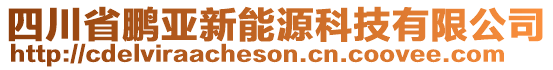 四川省鵬亞新能源科技有限公司