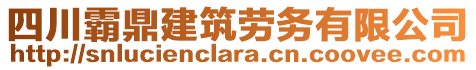 四川霸鼎建筑勞務有限公司