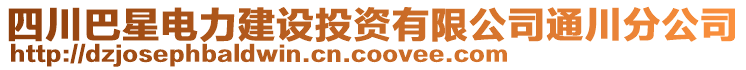 四川巴星電力建設(shè)投資有限公司通川分公司