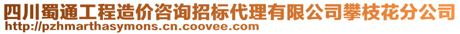 四川蜀通工程造價咨詢招標代理有限公司攀枝花分公司