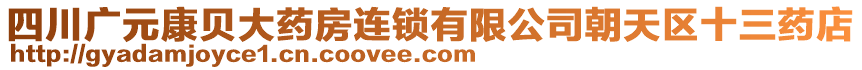 四川广元康贝大药房连锁有限公司朝天区十三药店