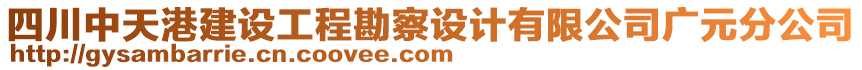 四川中天港建設工程勘察設計有限公司廣元分公司
