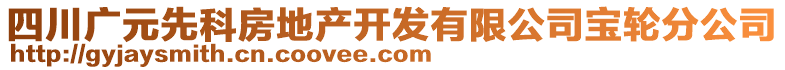 四川廣元先科房地產(chǎn)開(kāi)發(fā)有限公司寶輪分公司