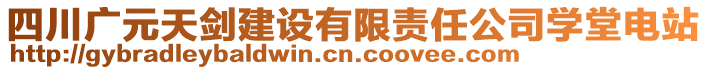 四川廣元天劍建設(shè)有限責(zé)任公司學(xué)堂電站