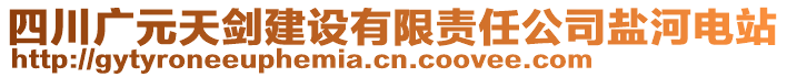 四川廣元天劍建設(shè)有限責(zé)任公司鹽河電站