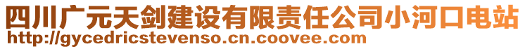 四川廣元天劍建設(shè)有限責(zé)任公司小河口電站