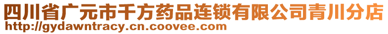 四川省廣元市千方藥品連鎖有限公司青川分店
