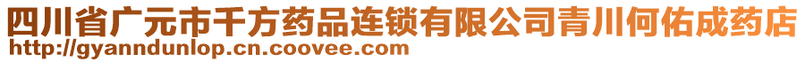 四川省廣元市千方藥品連鎖有限公司青川何佑成藥店