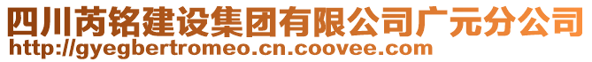 四川芮銘建設集團有限公司廣元分公司