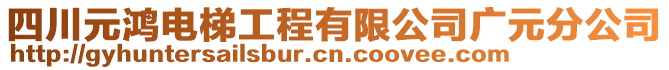 四川元鴻電梯工程有限公司廣元分公司