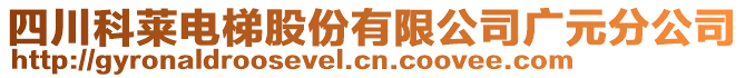 四川科萊電梯股份有限公司廣元分公司