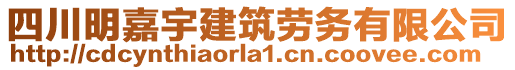 四川明嘉宇建筑勞務(wù)有限公司