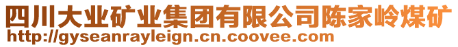 四川大業(yè)礦業(yè)集團(tuán)有限公司陳家?guī)X煤礦