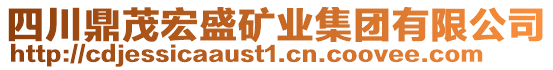 四川鼎茂宏盛礦業集團有限公司