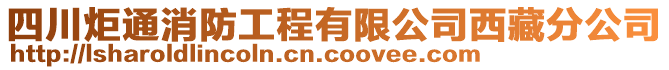 四川炬通消防工程有限公司西藏分公司