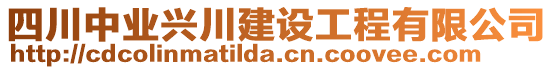 四川中業(yè)興川建設(shè)工程有限公司